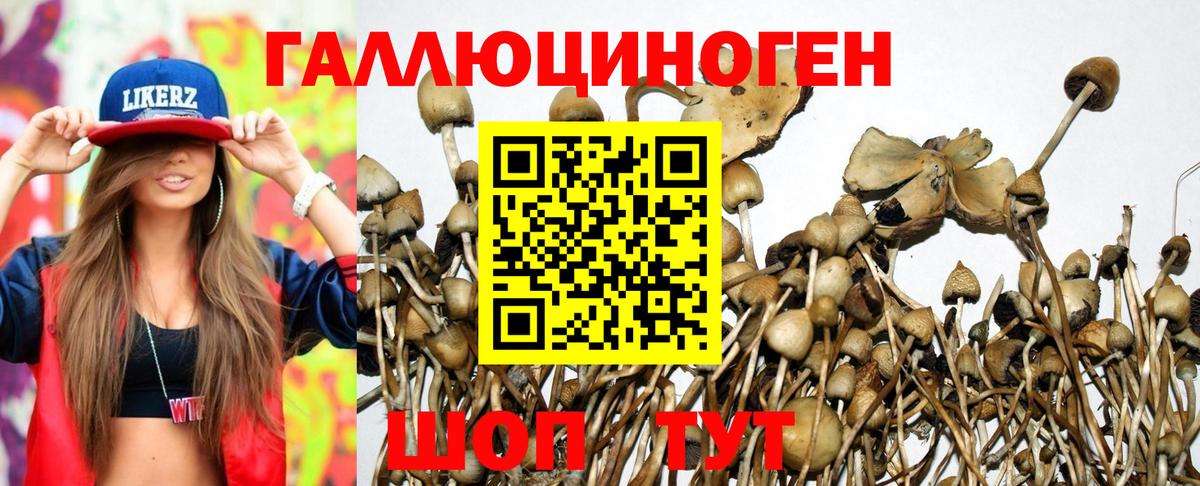Псилоцибиновые грибы Magic Shrooms  Вход с VPN  Вязьма 