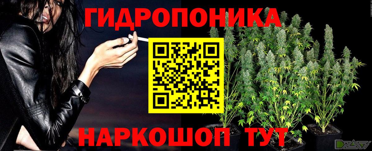 Шишки марихуана OG Kush Вязьма